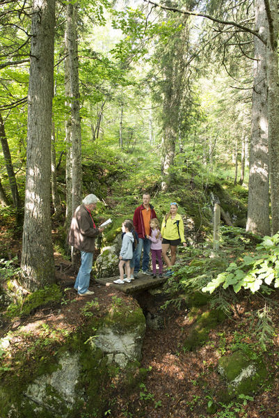 Sentier des Tannes et Glacières