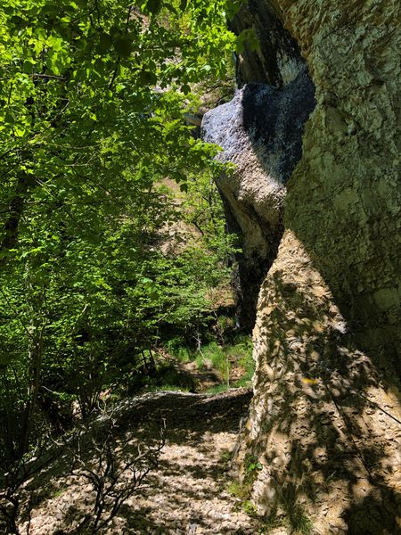 Randonnée pédestre : La croix d'Innimond