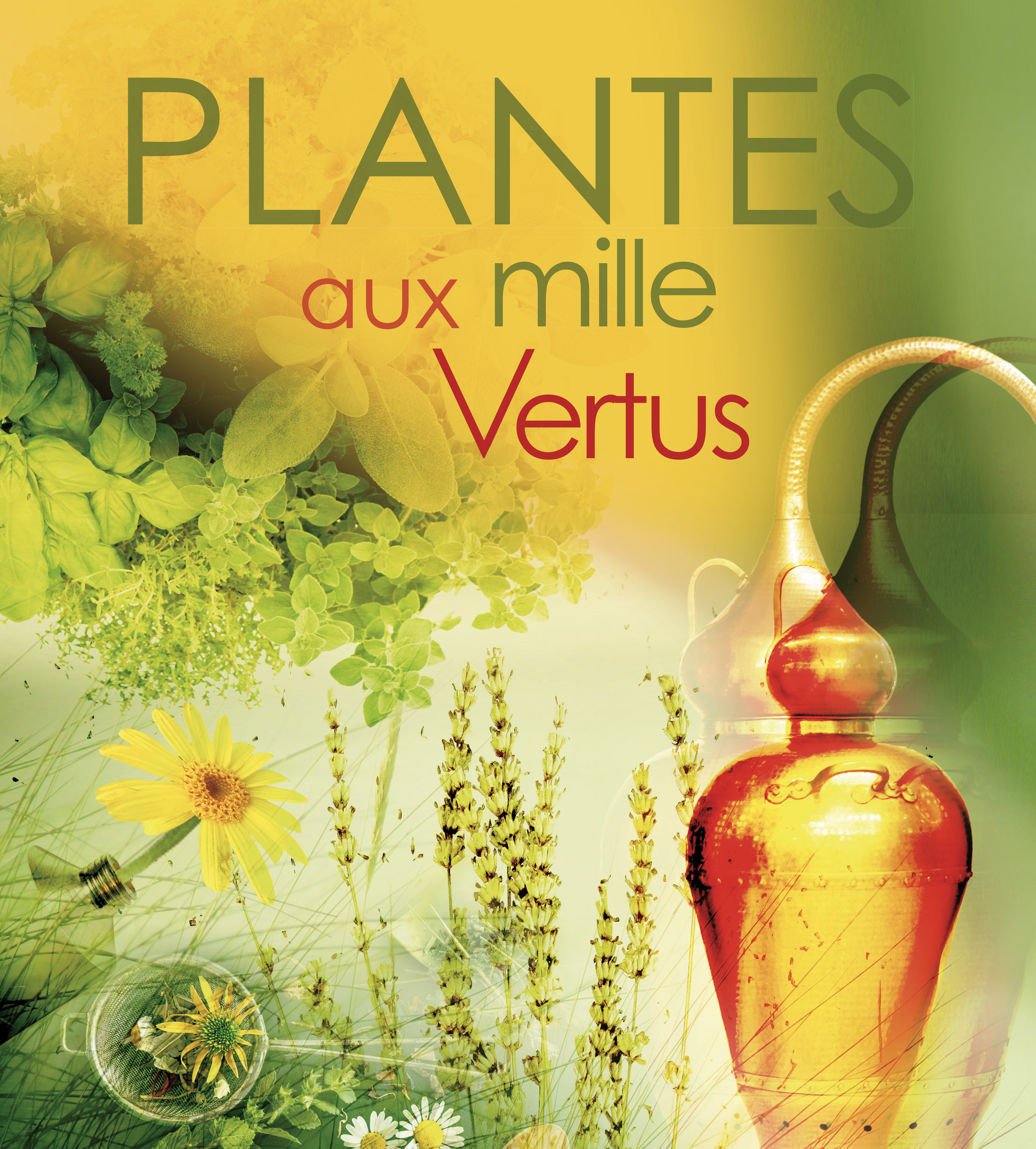 Exposition – Les plantes aux mille vertus // Fournols