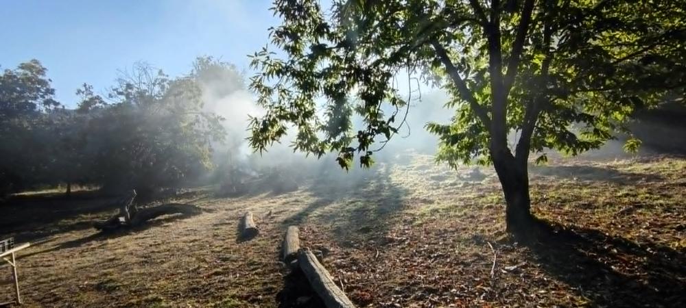 Visite de la Châtaigneraie Godissard