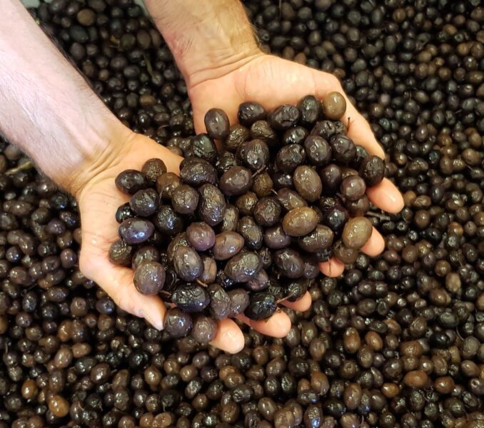 Moulin Ramade à Nyons