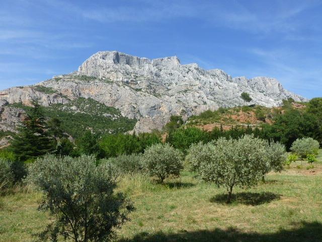 La Feuillère, Saint-Antonin-sur-Bayon - photo 40