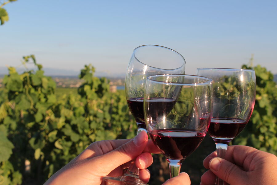 A bon train bon vins ! A bon train bon vins !