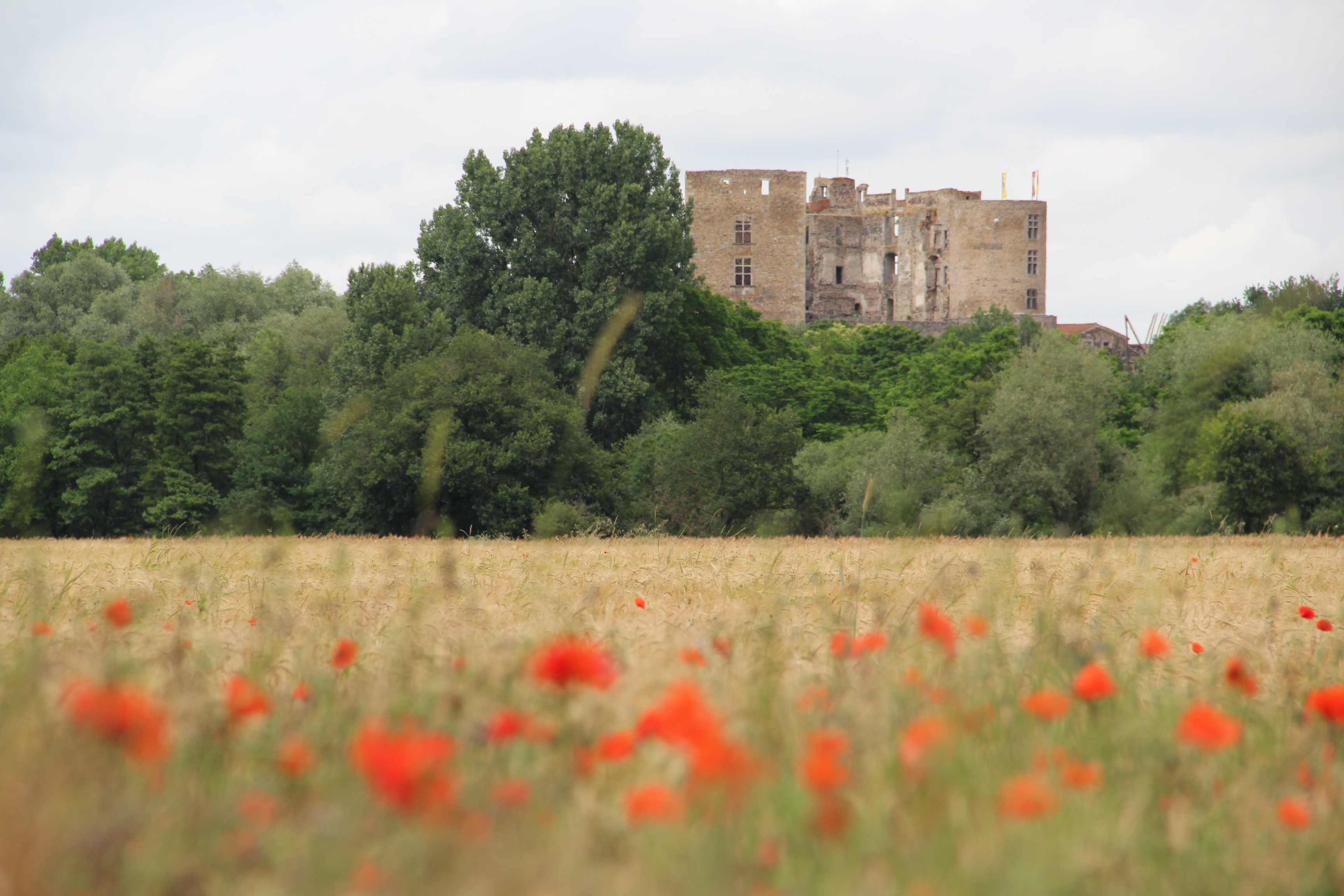 Vue sur le château