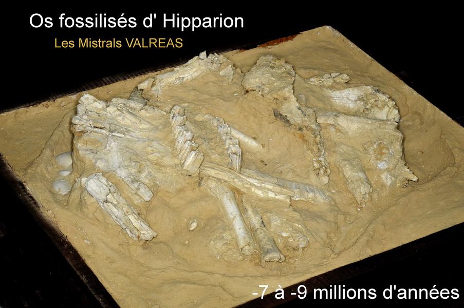 Musée de pays - Archéologie