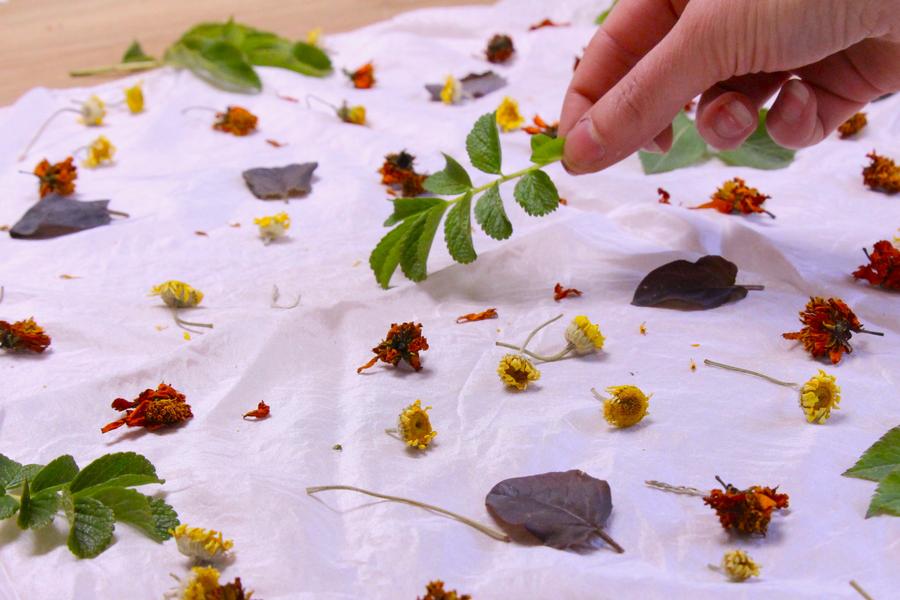 Atelier de teinture végétale