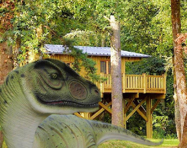 La cabane perchée Jurassic