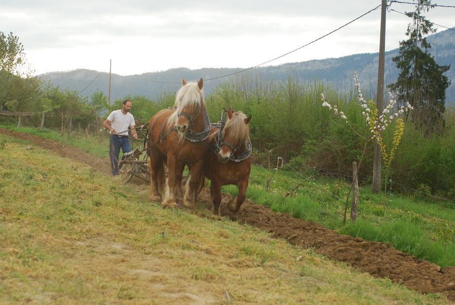 Le Château partagé_Dullin