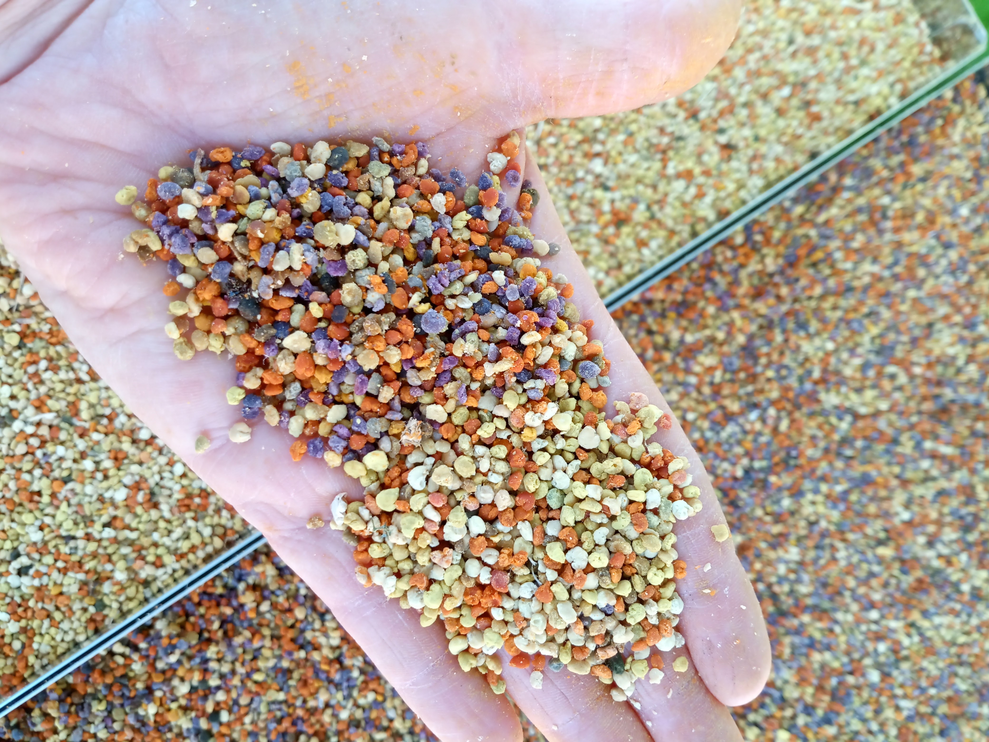 Les Ruchers du Renard