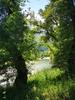 Chasteuil Provence