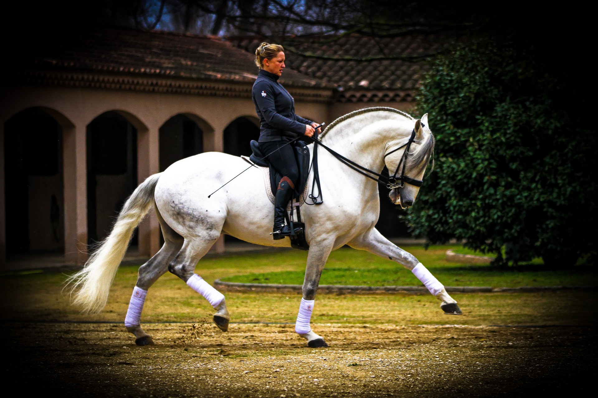 Pluvinel - La Cité du Cheval - photo 3