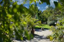 Jardin botanique