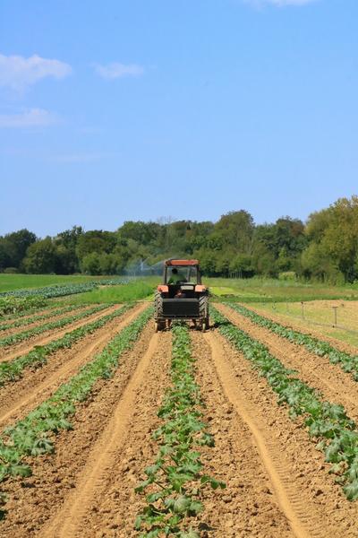 La Tour des Saveurs - producteur - Brangues - Balcons du Dauphiné - Nord-Isère- à moins d'une heure de Lyon