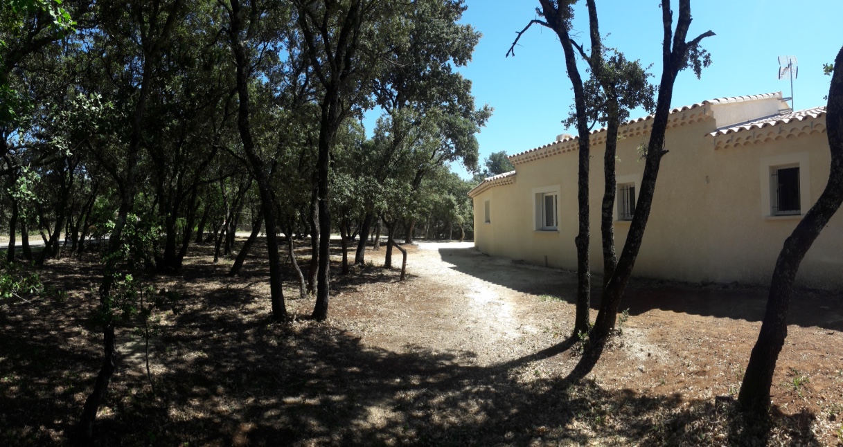 bois à l'arrière de la maison