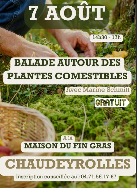Média additionnel 1