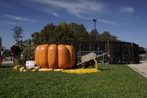 Photo Courge et saveurs d'automne