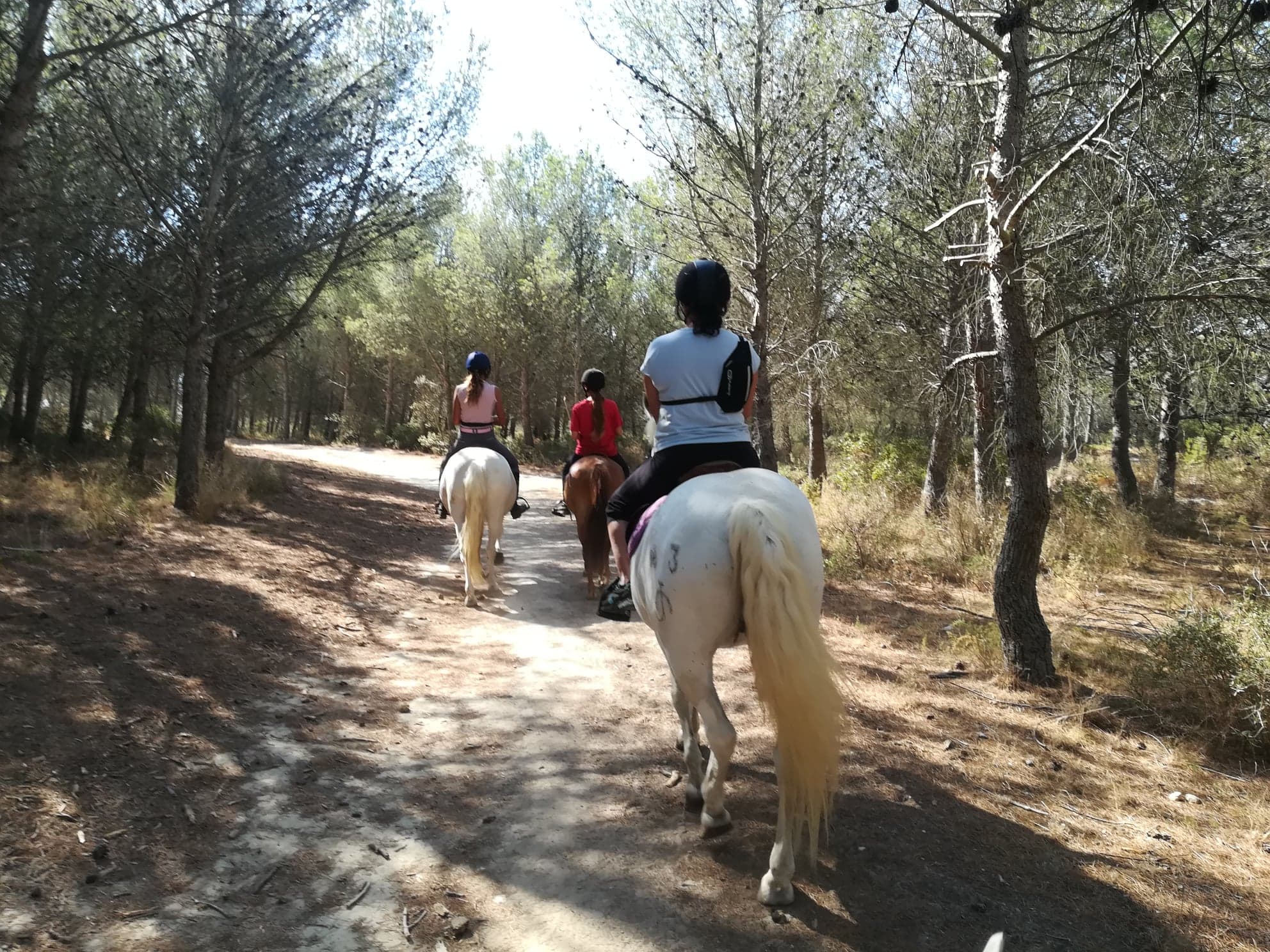 Balade à cheval au Deven