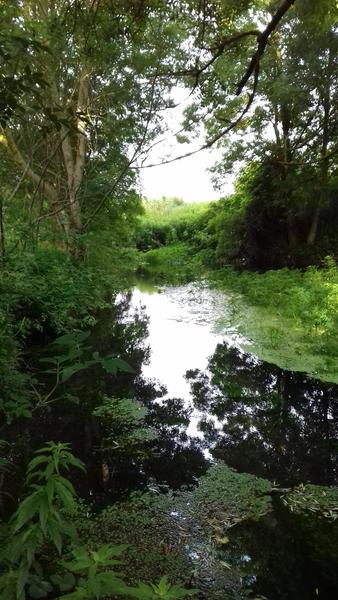 Bords de Gères