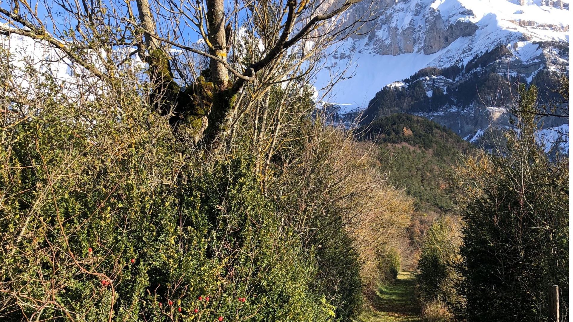 Sentier au départ du gîte Olympe de Gouges