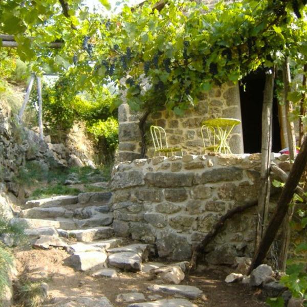 Vinum Follis - Quinte et sens_Barnas