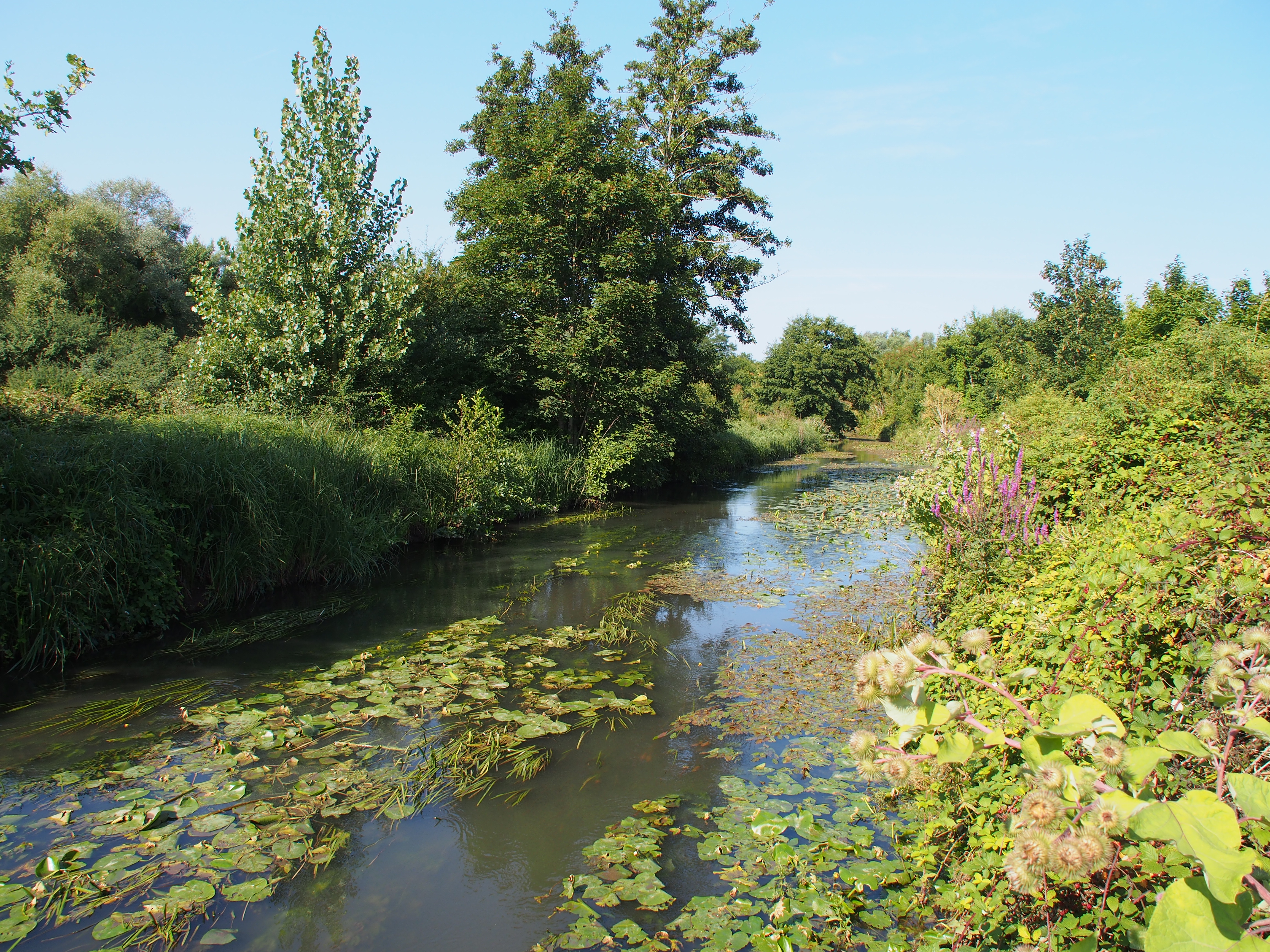 Autour du bassin de Tru00e9voix - Parcours Baludik_Ollainville
