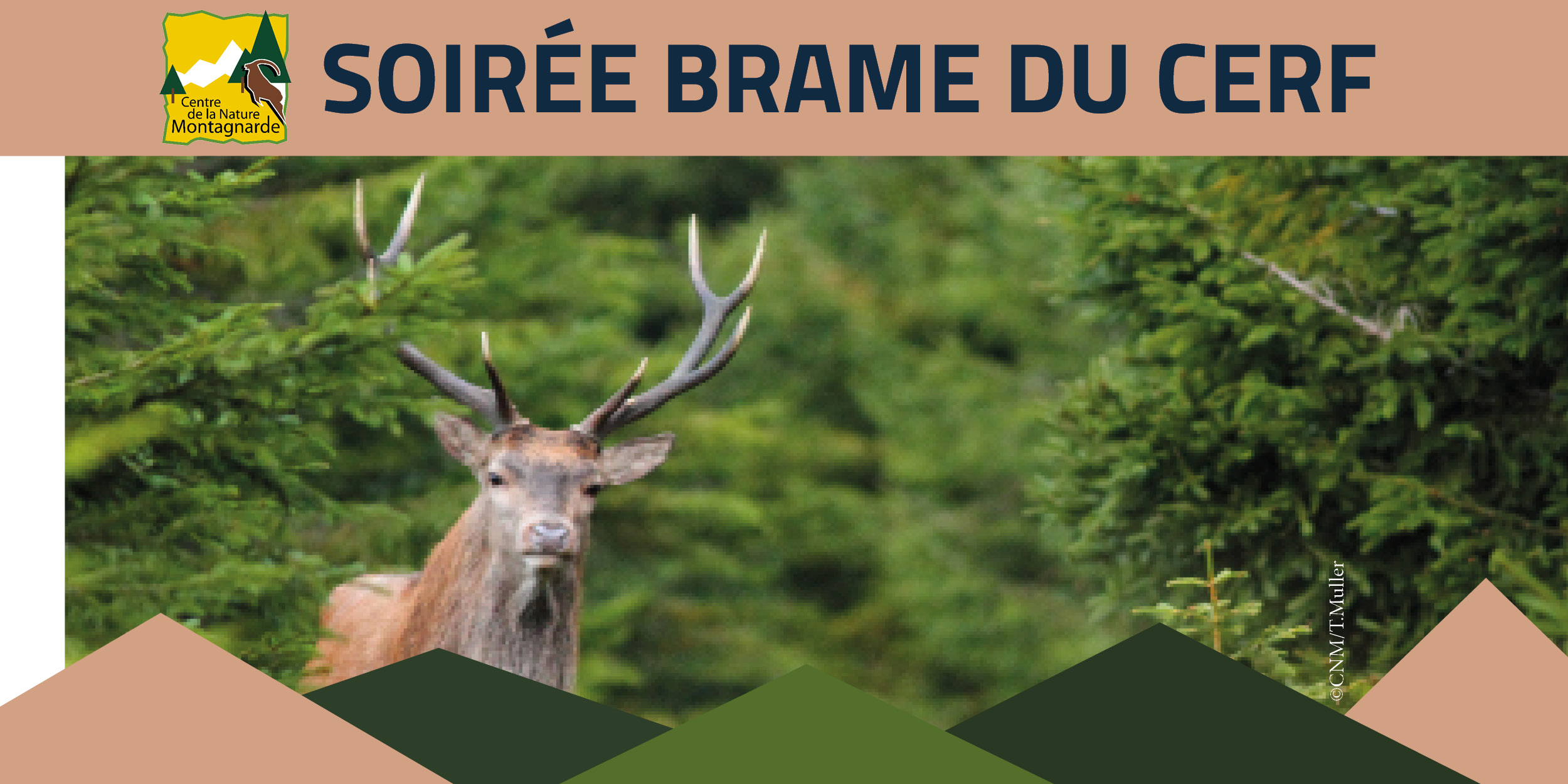 Affiche soirée brame du cerf CNM