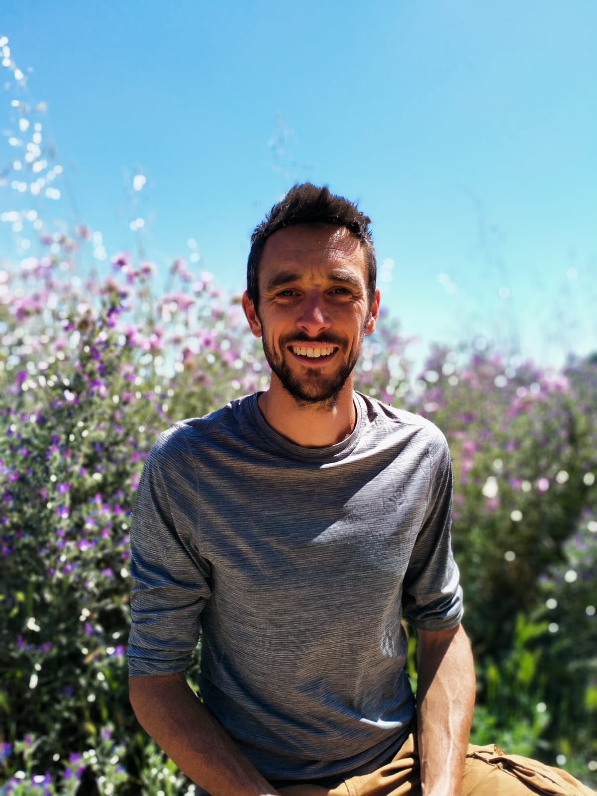 Apprendre à reconnaître les plantes sauvages comestibles et médicinales de montagne