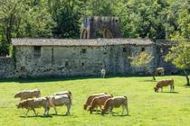 Prades - Ancien Puits de la mine ©sourcesetvolcans