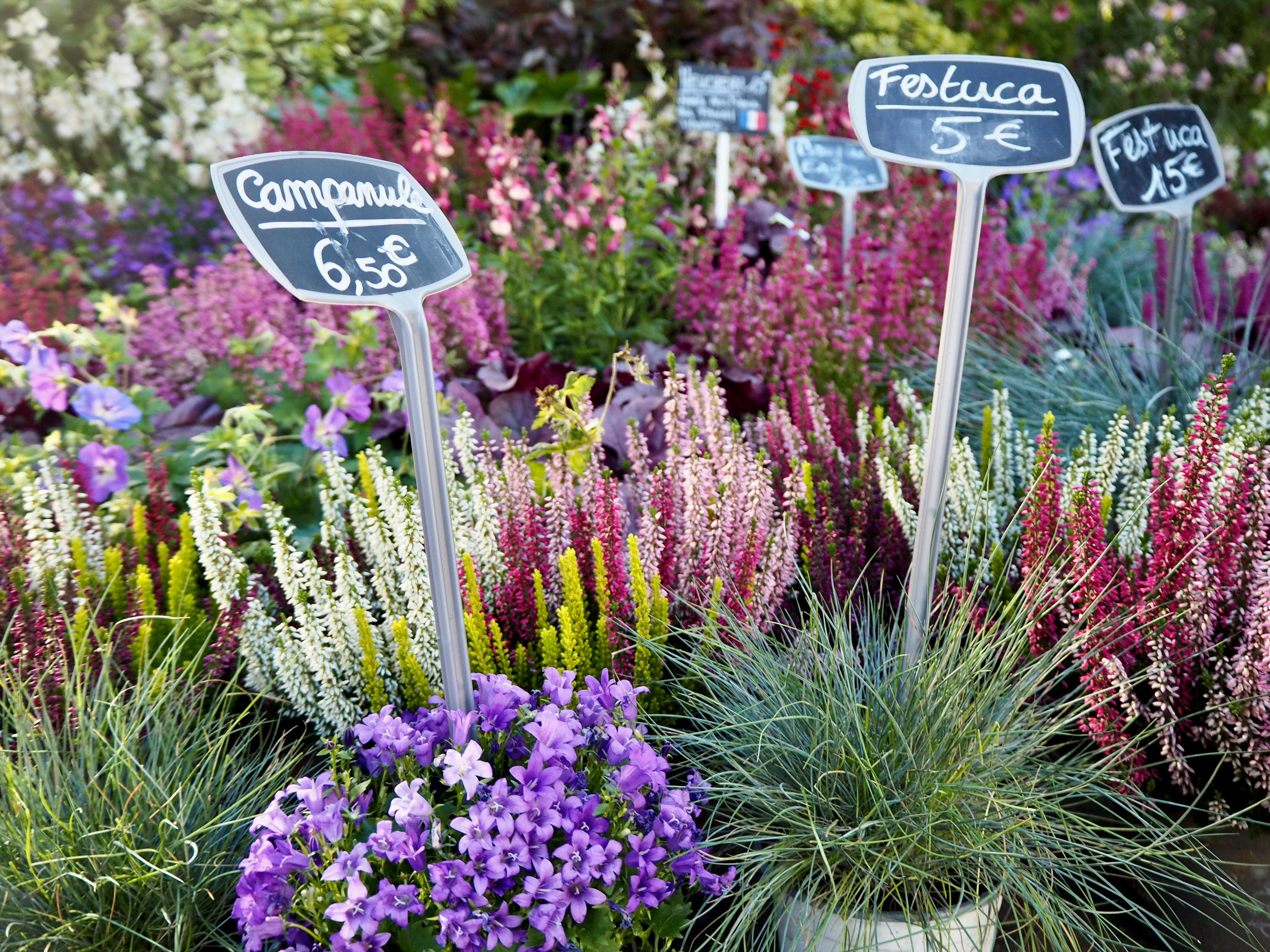 Troc de plantes