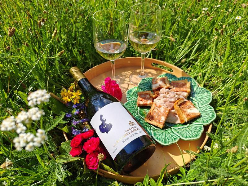 Château des Bachelards