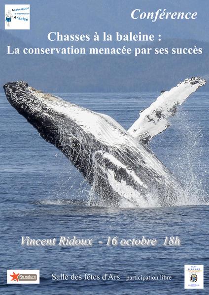Conférence « Chasses à la baleine : la conservation menacée par ses succès »