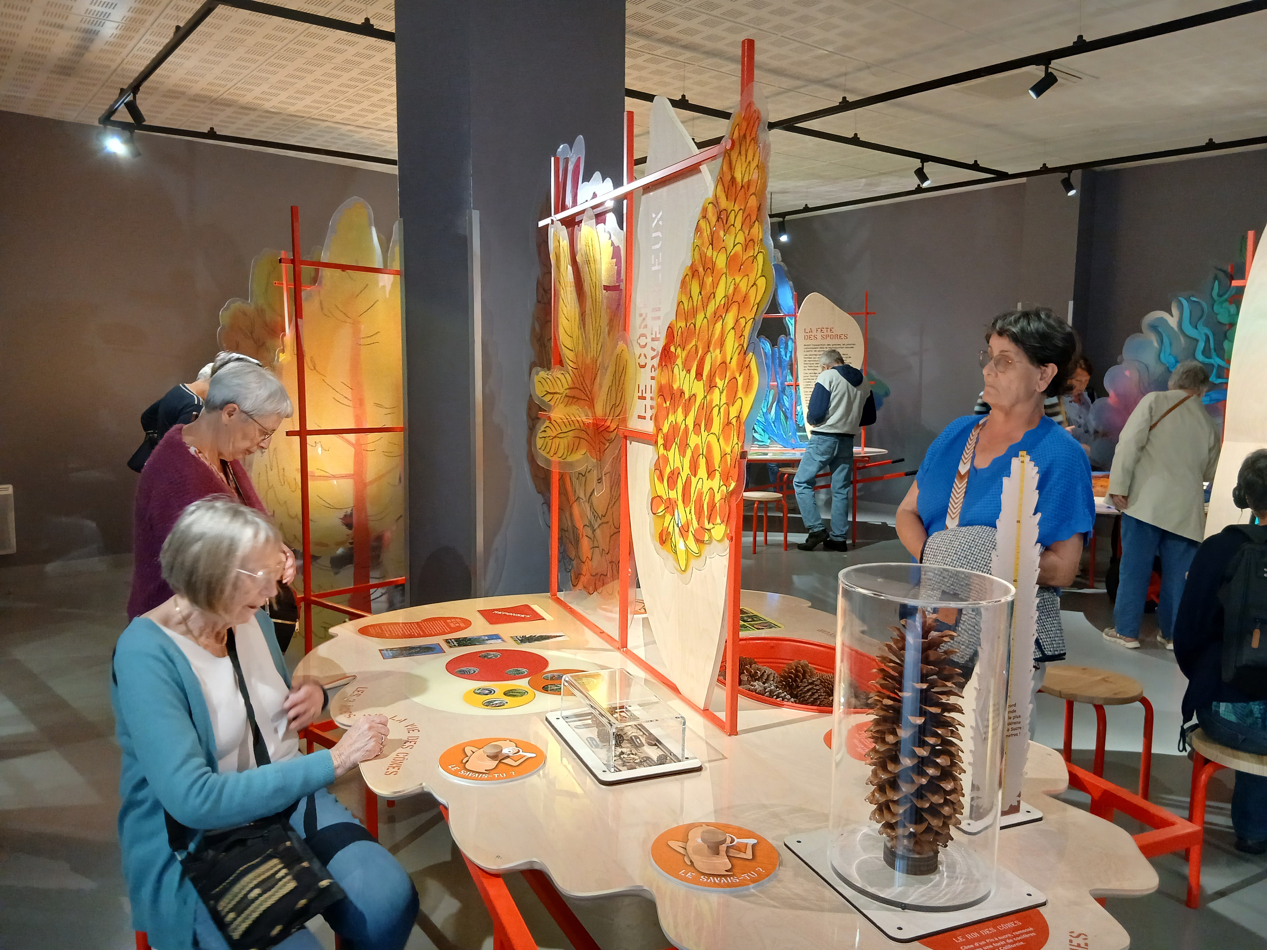 Exposition temporaire : Graines, comment naissent les plantes ?_Le Cheylard
