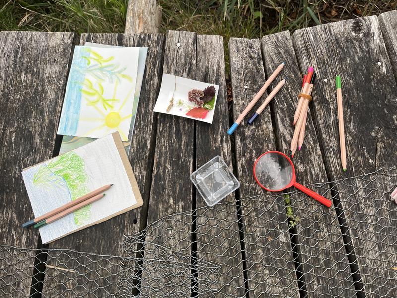 Animation nature sur les ENS : croquis nature_Optevoz-Balcons du Dauphiné