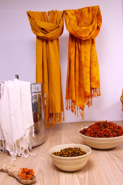 Atelier de teinture végétale