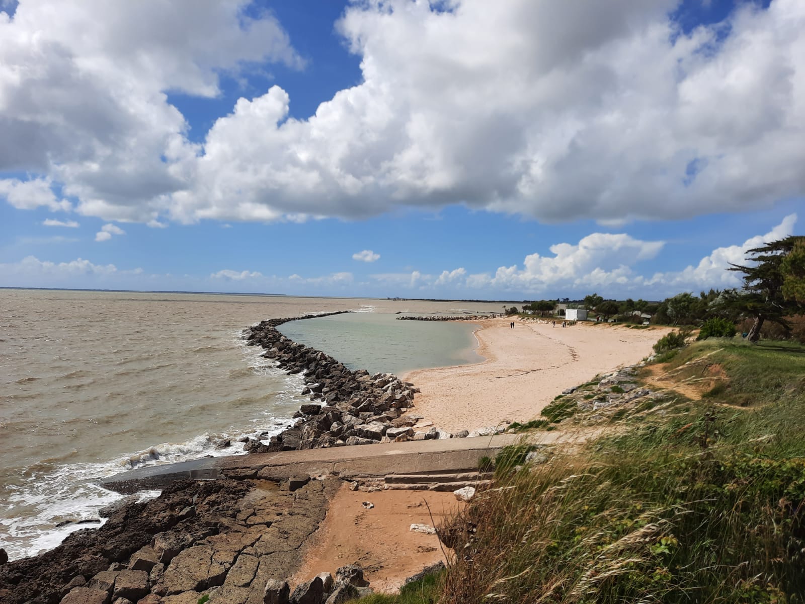 Visite guidée : Au fil de l'estuaire