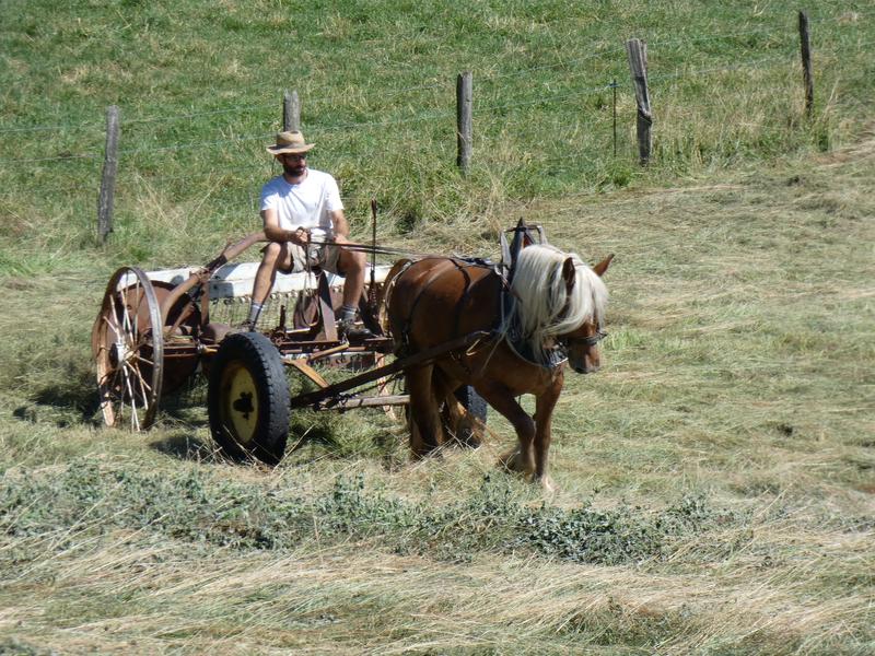 Le Château partagé_Dullin