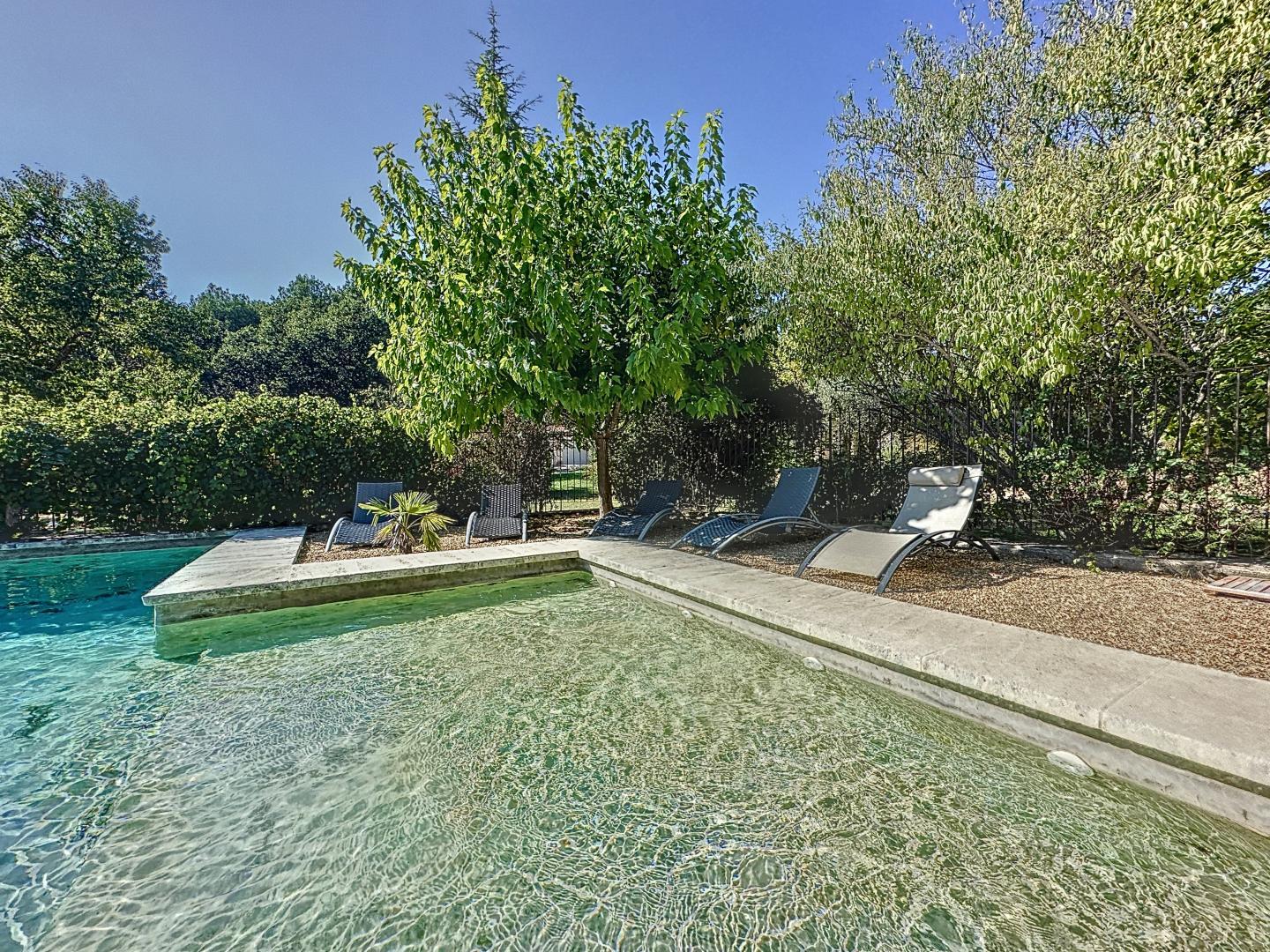 Pin Parasol, Jouques - photo 53