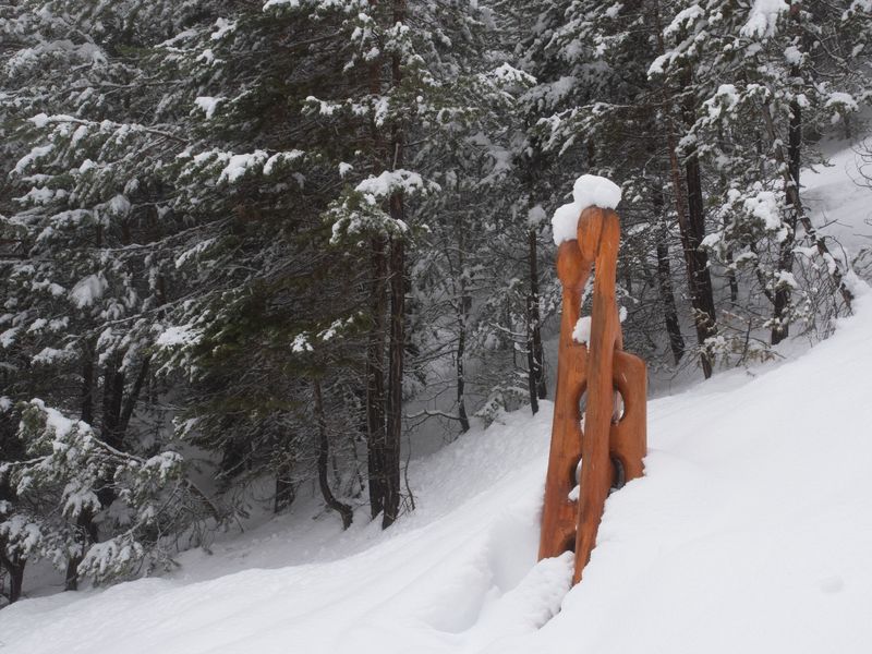 Sentier des sculptures hiver dans la forêt du Monolithe