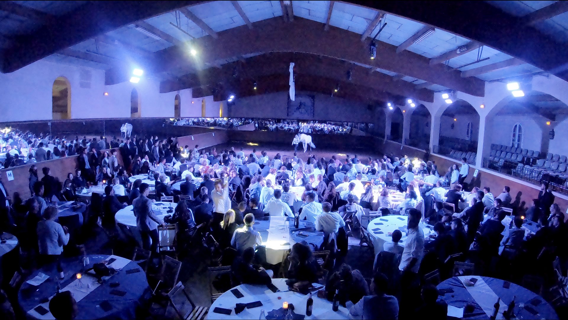 Pluvinel - La Cité du Cheval