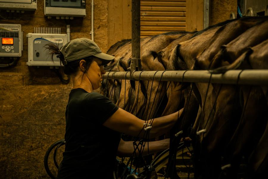 Le Clos aux chèvres_Saint-Jean-d'Aulps