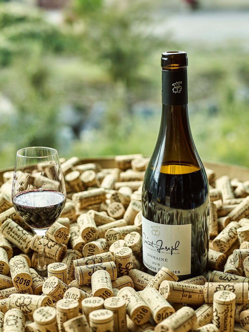 Domaine GRENIER François_Champagne