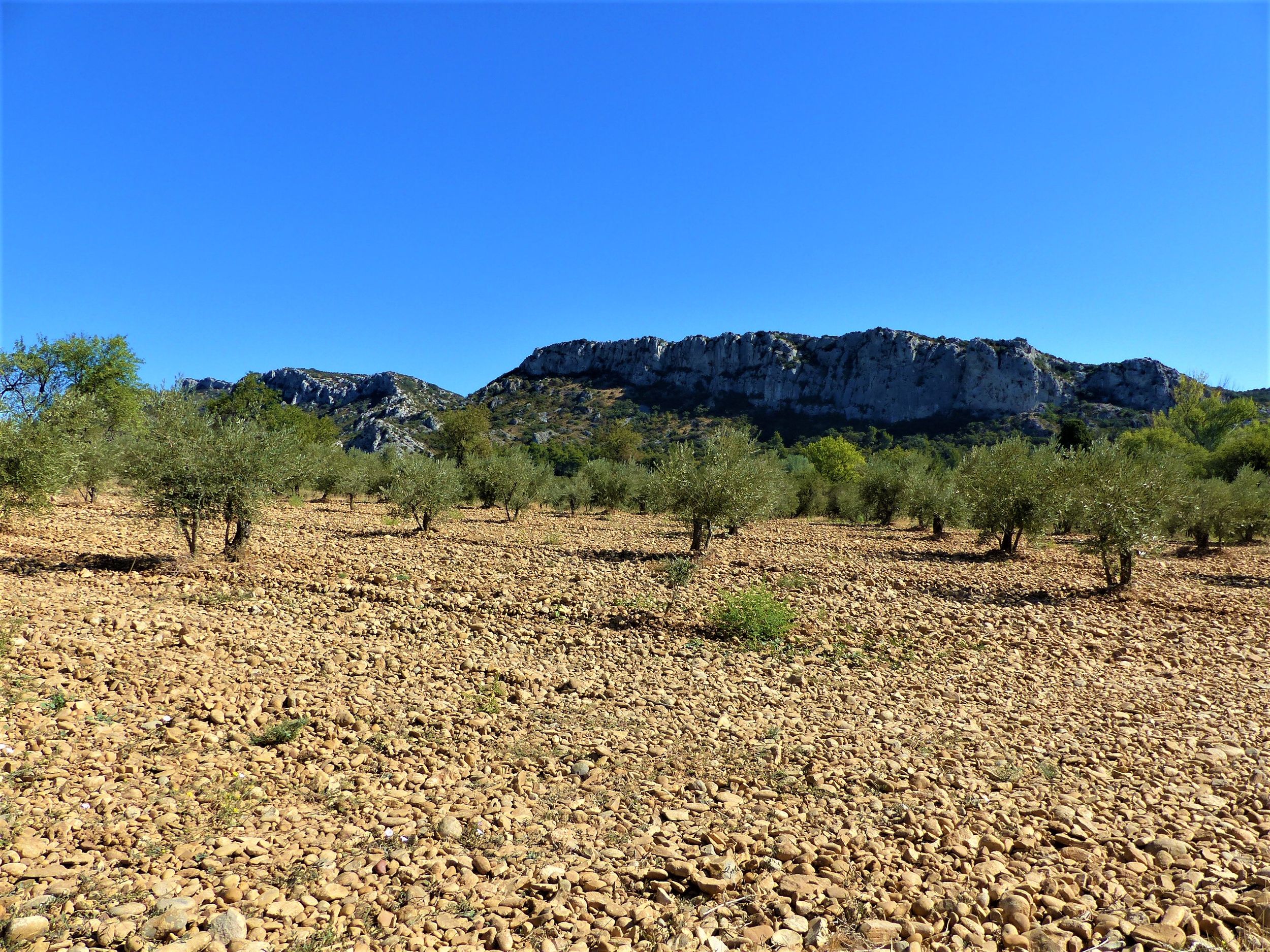 EYGUIÈRES - Vallon des Glauges