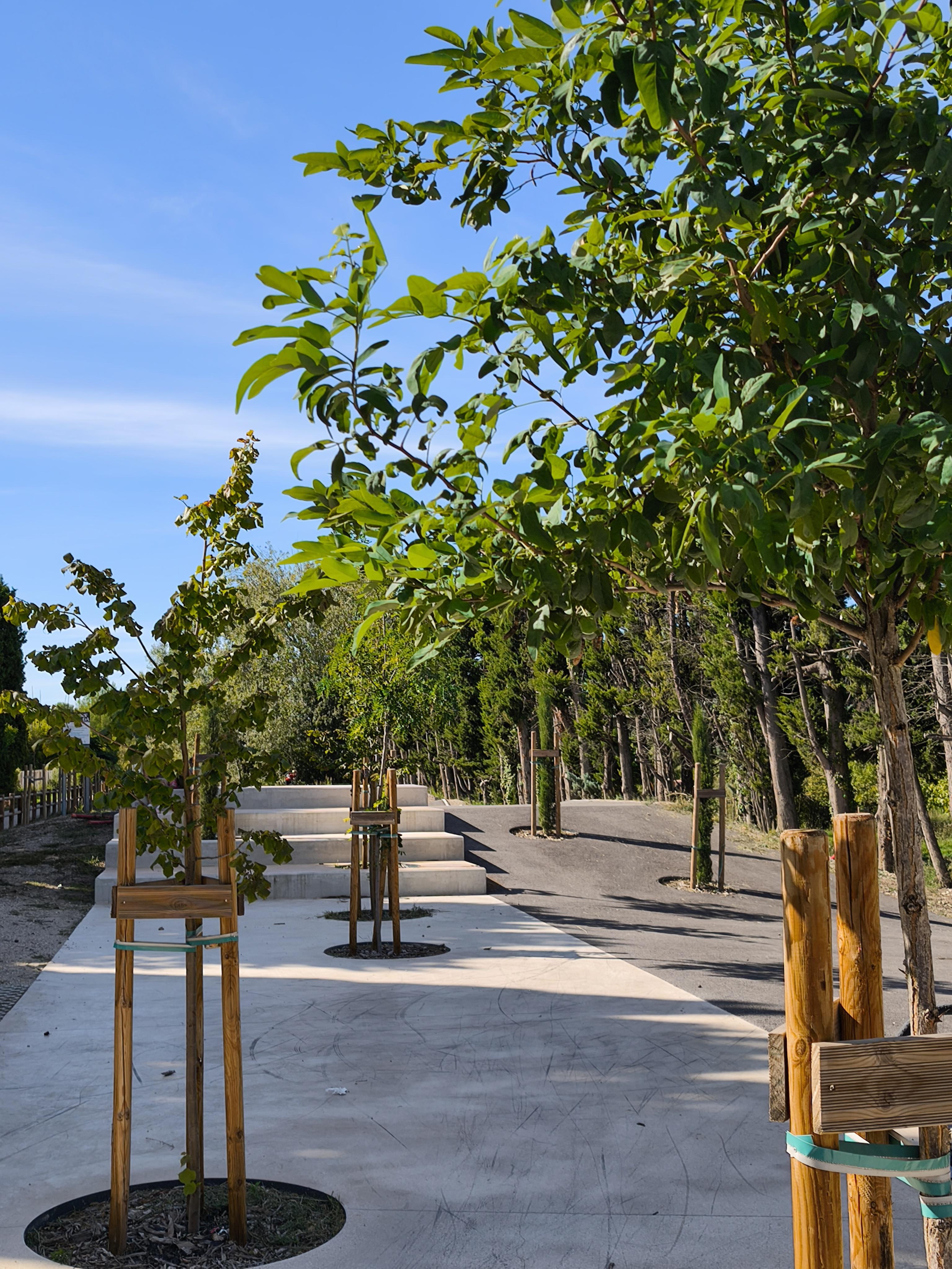 Skate Park / Pump Track, Noves - photo 8