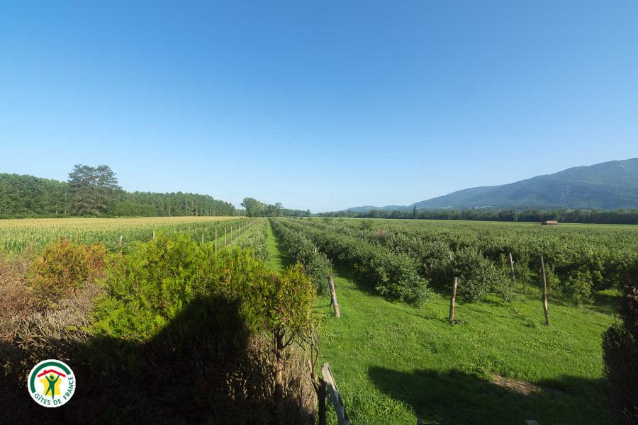 Vue du bureau Vue du bureau