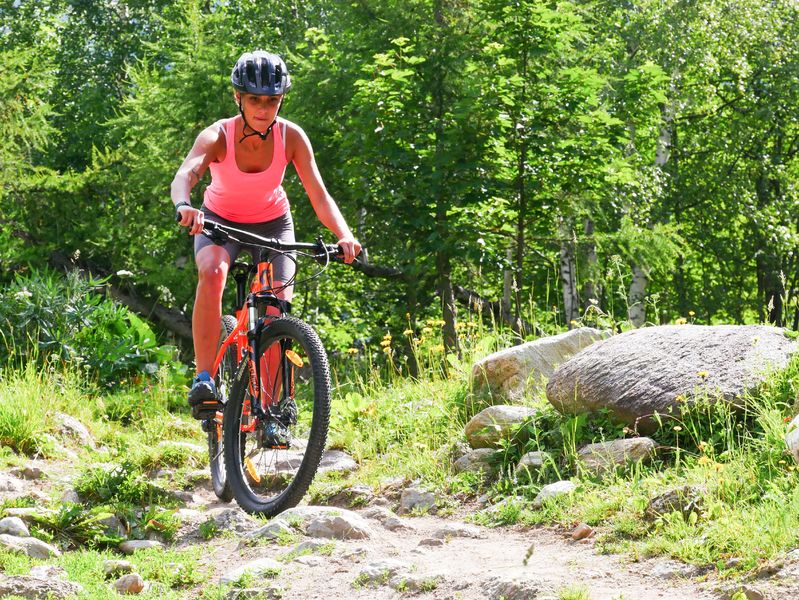 Evolution2-Chamonix-Discover Mountain Biking