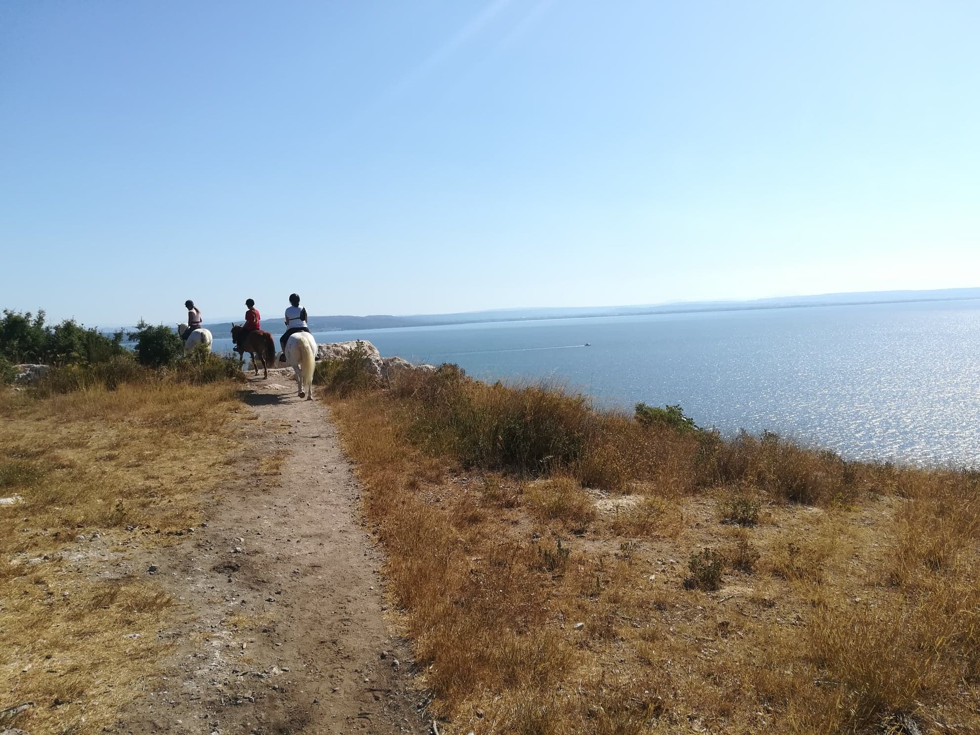 Balade à cheval au Deven