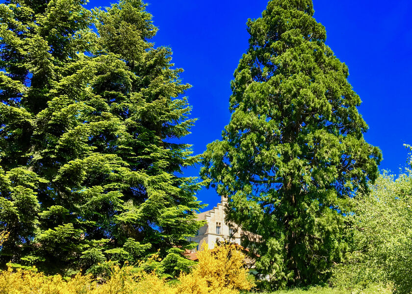 Château de la Bruyère en Velay