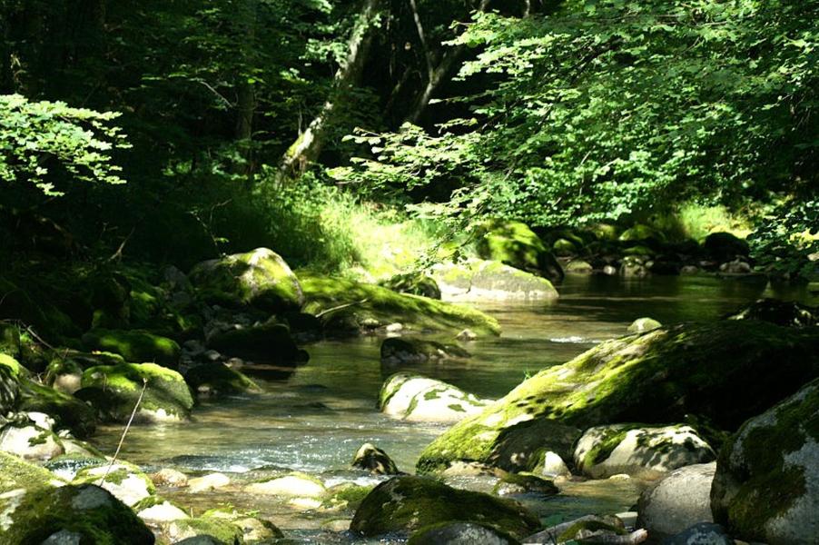 Parcours pêche, Le Brevon à Bellevaux_Bellevaux