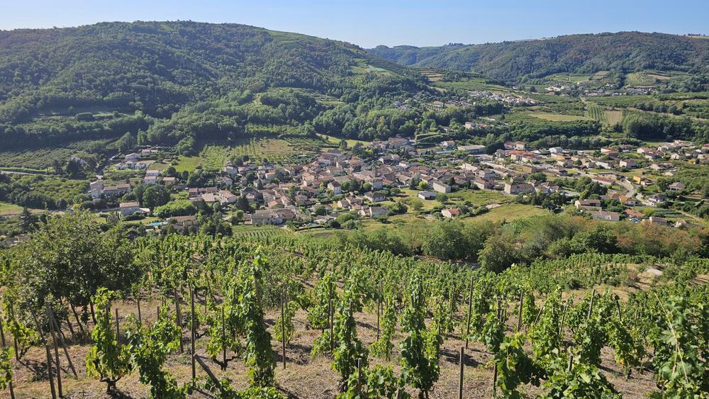 Village viticole de Saint-Désirat_Saint-Désirat