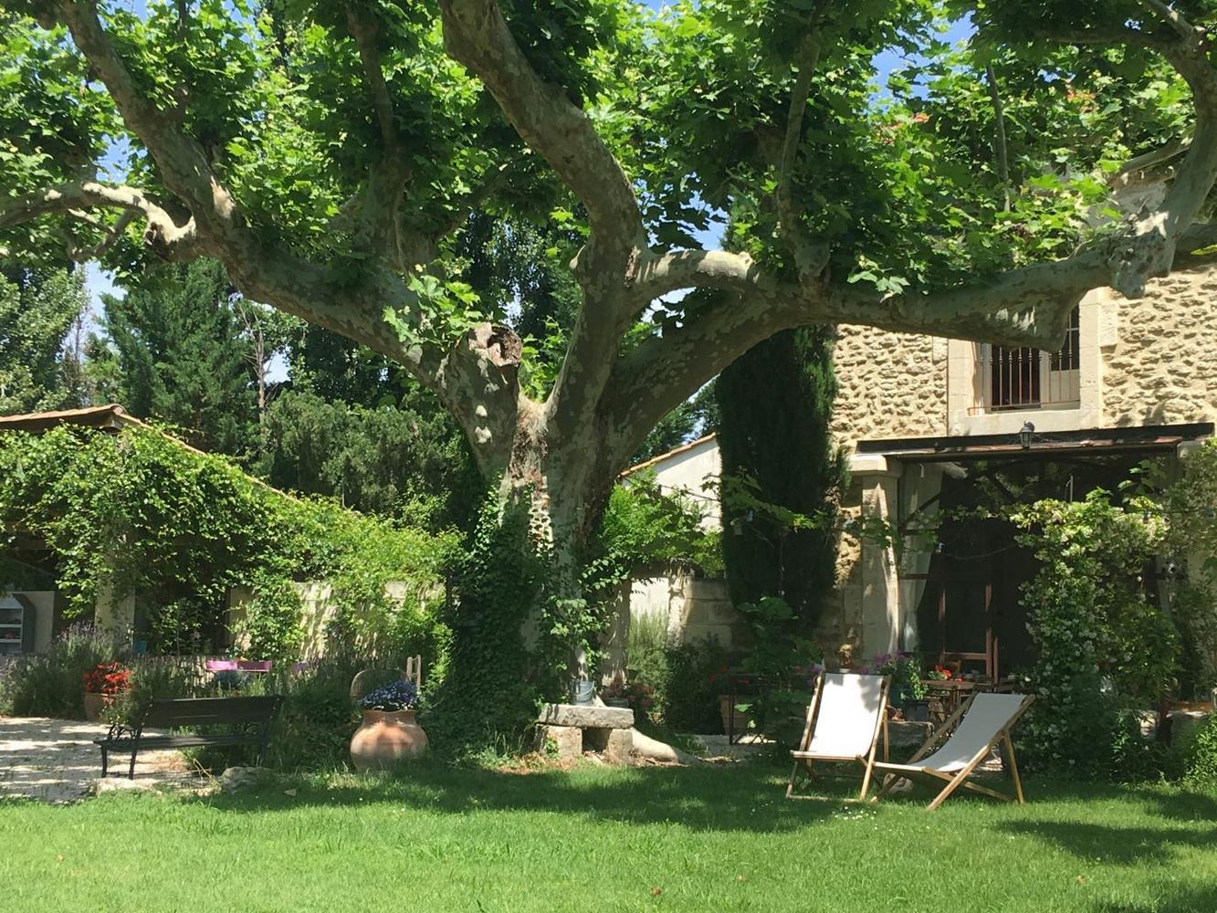 Mas de Rey, Rognonas - photo 20